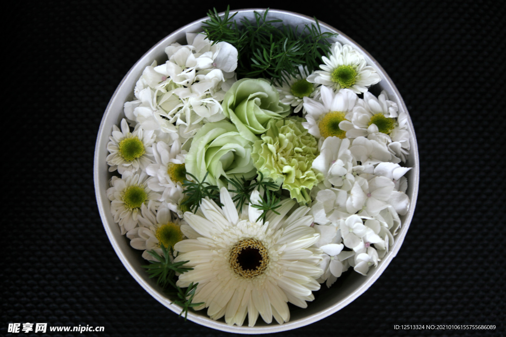 雏菊