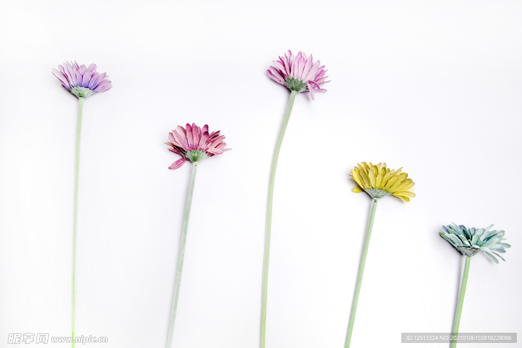 花