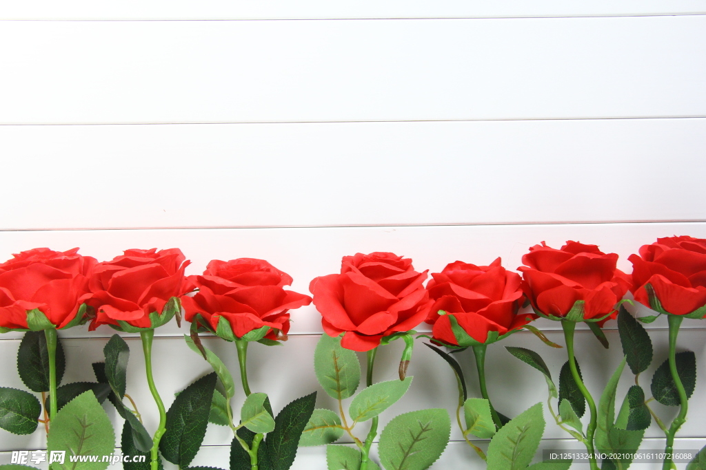 红玫瑰