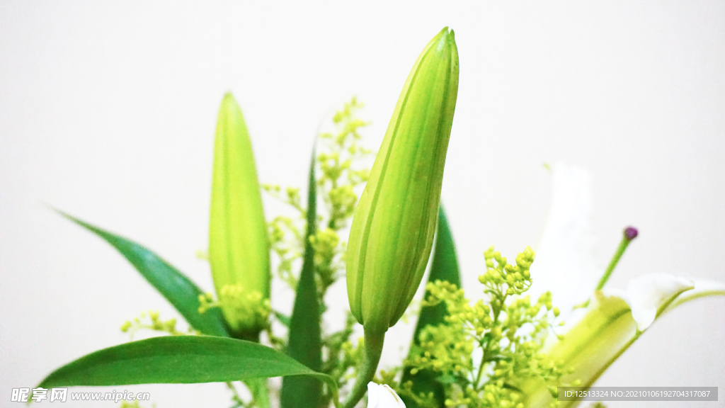百合花