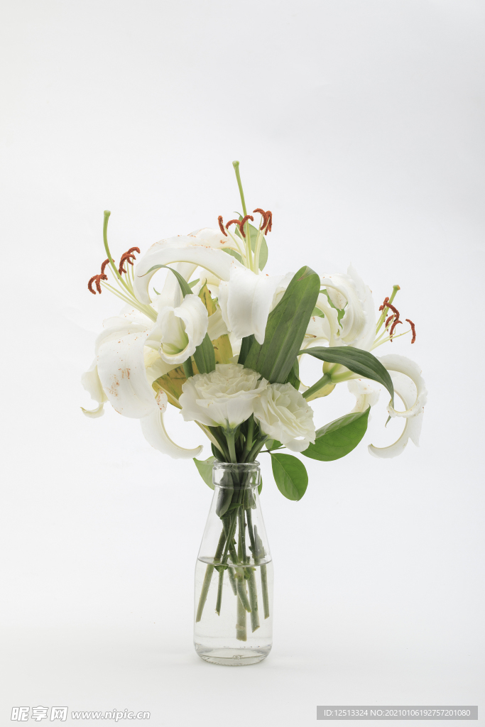 百合花
