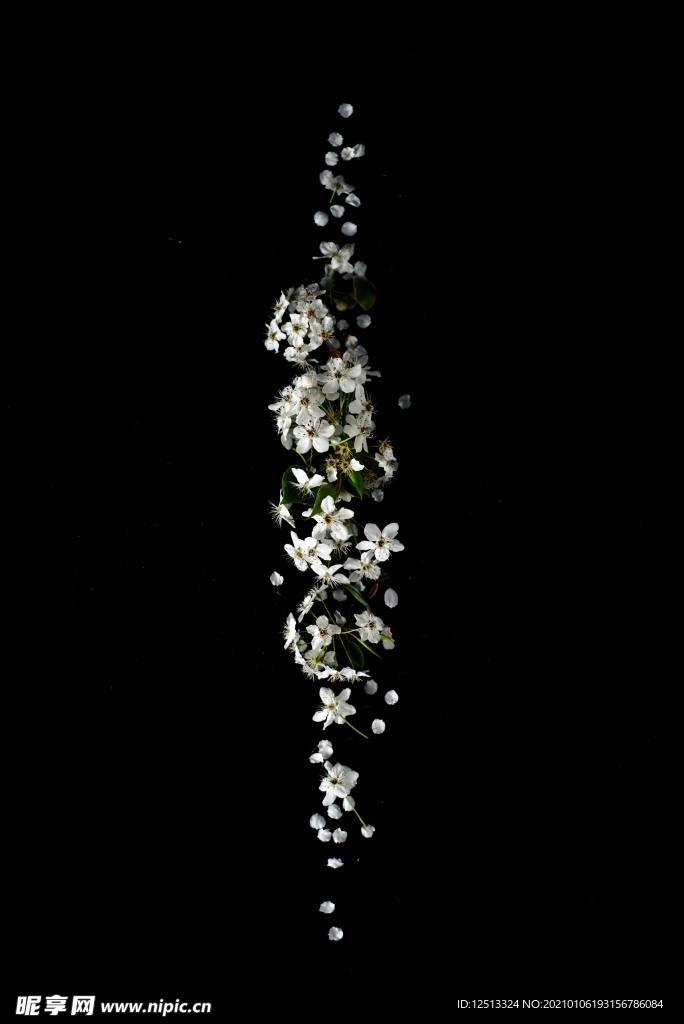 梨花