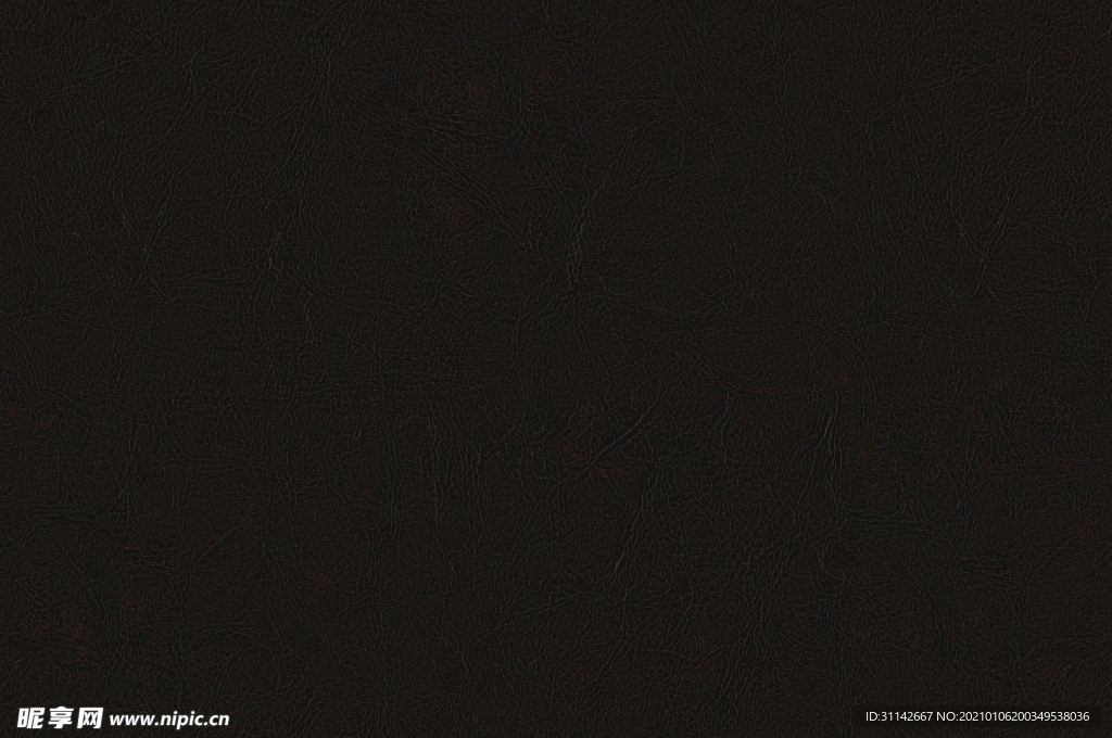 真皮纹理 黑色