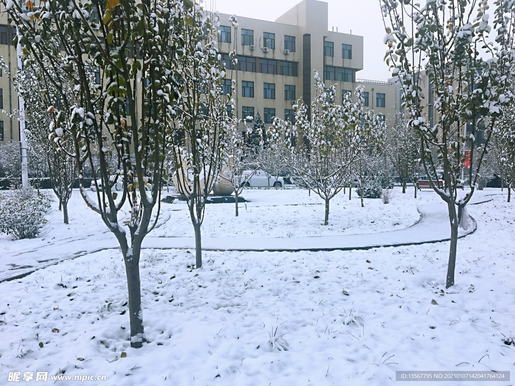校园雪景