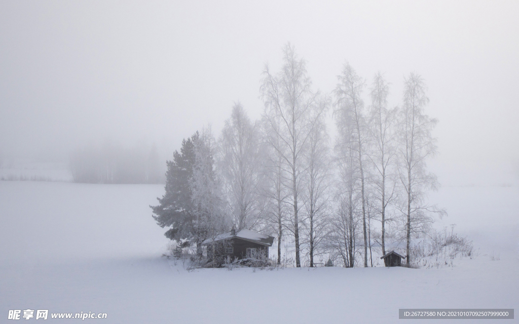 加拿大雪景