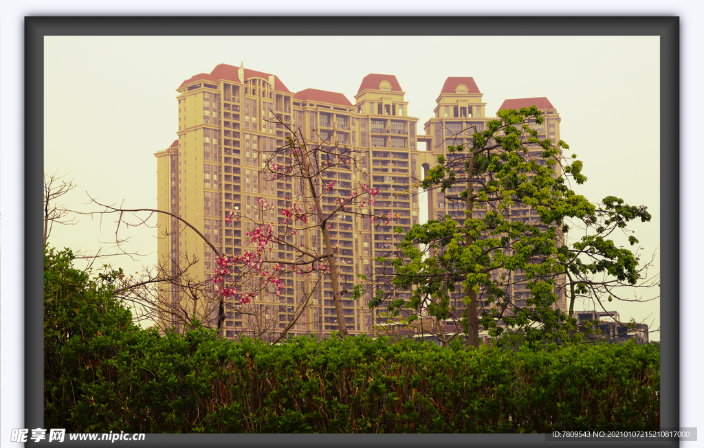 楼盘风景