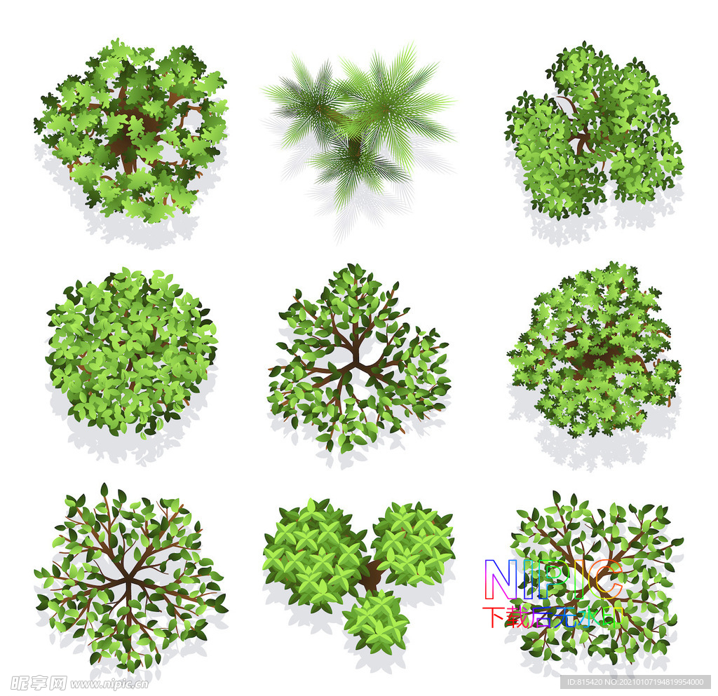 植物顶视图