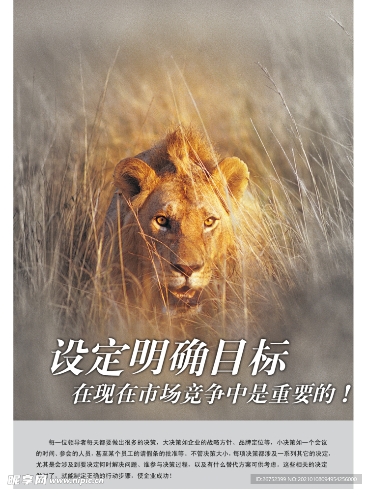 公司文化