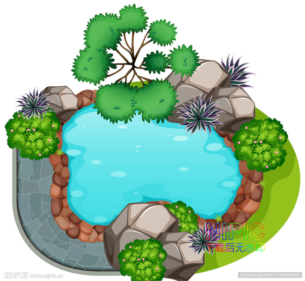 植物顶视图