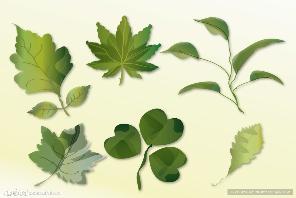 植物叶子剪影图片