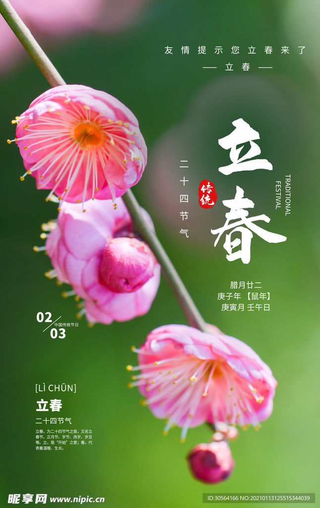立春传统节气活动宣传海报素材