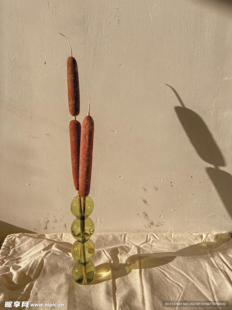 香肠 花朵 装饰