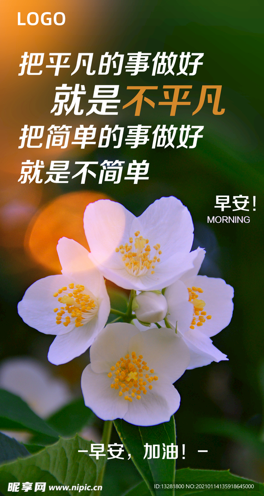 早安海报 问候海报 植物