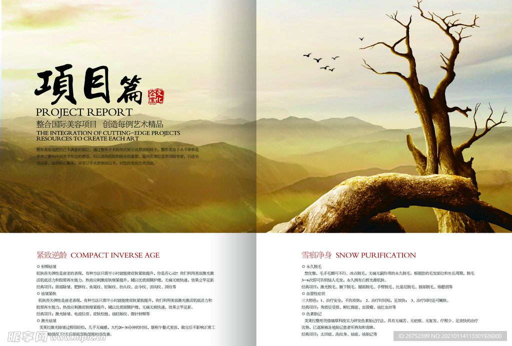 公司文化