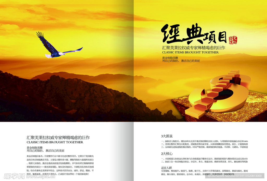 公司文化