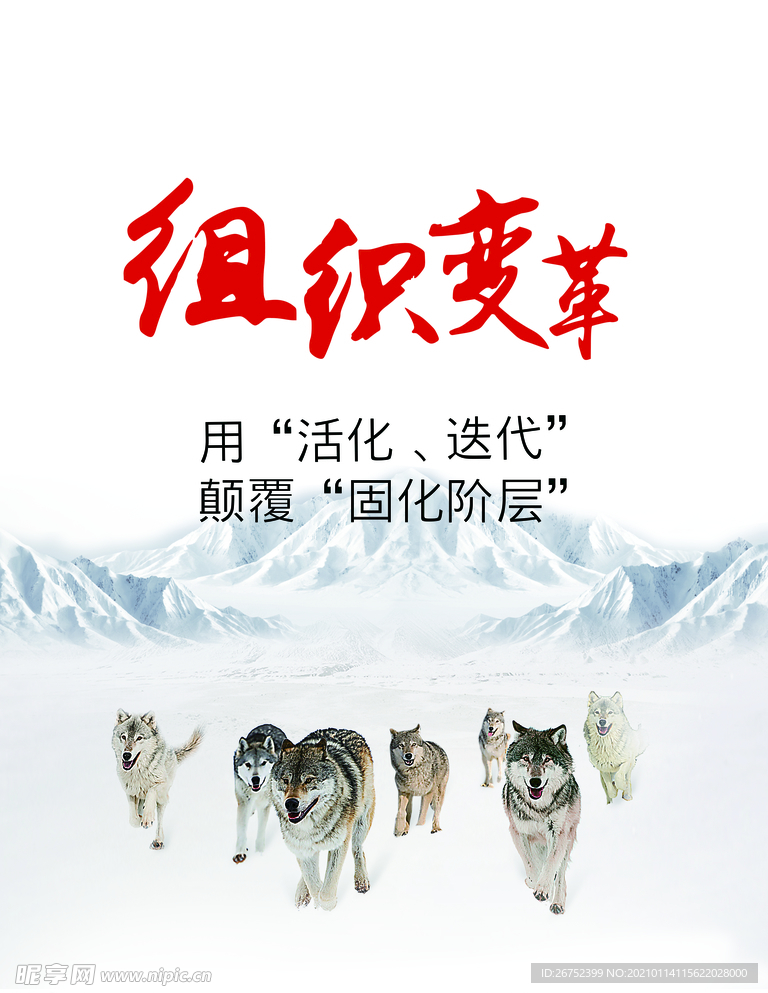 公司文化