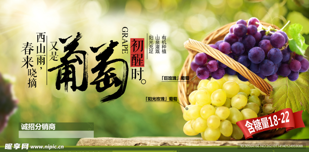 葡萄水果促销活动宣传海报素材