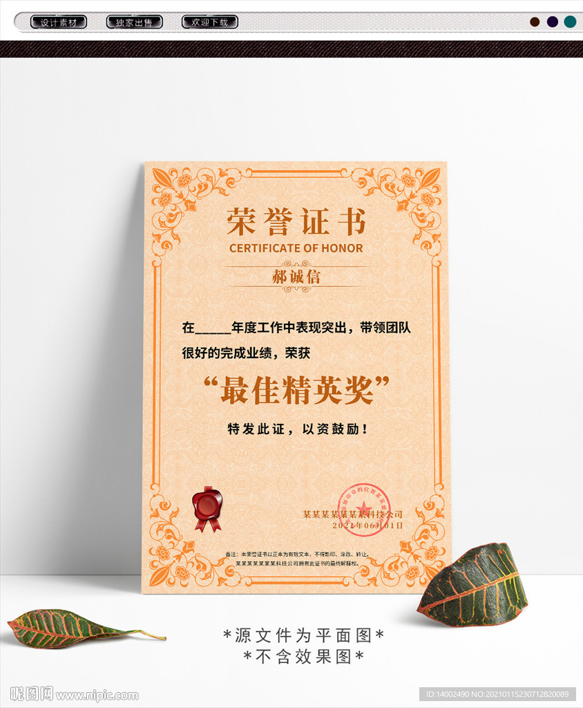 最佳精英奖证书