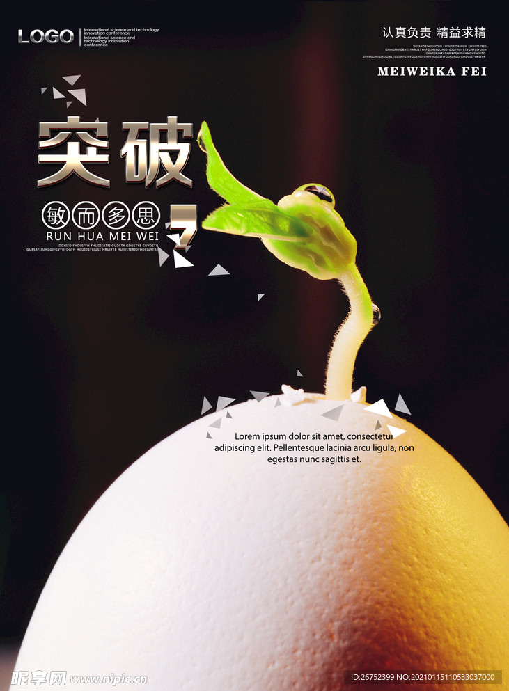 公司文化