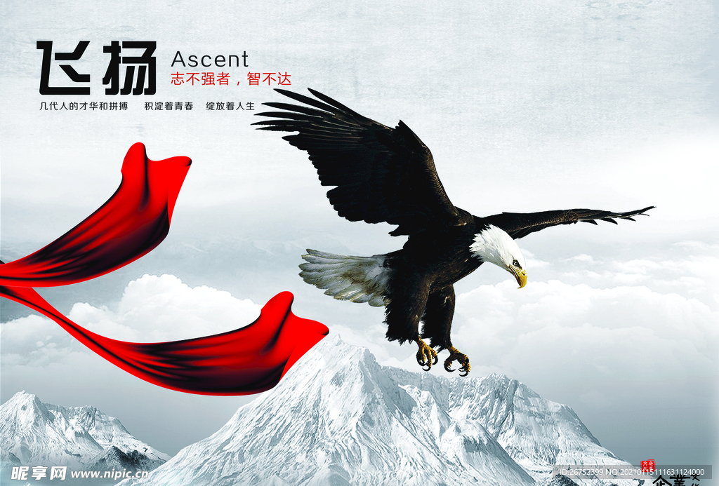 公司文化