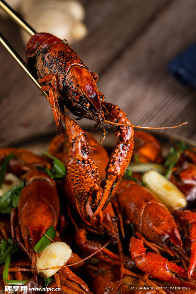 小龙虾美食食材背景素材