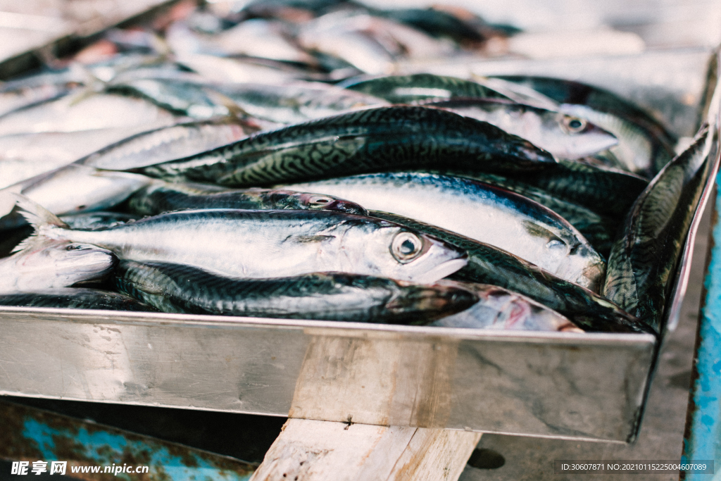 海鲜市场