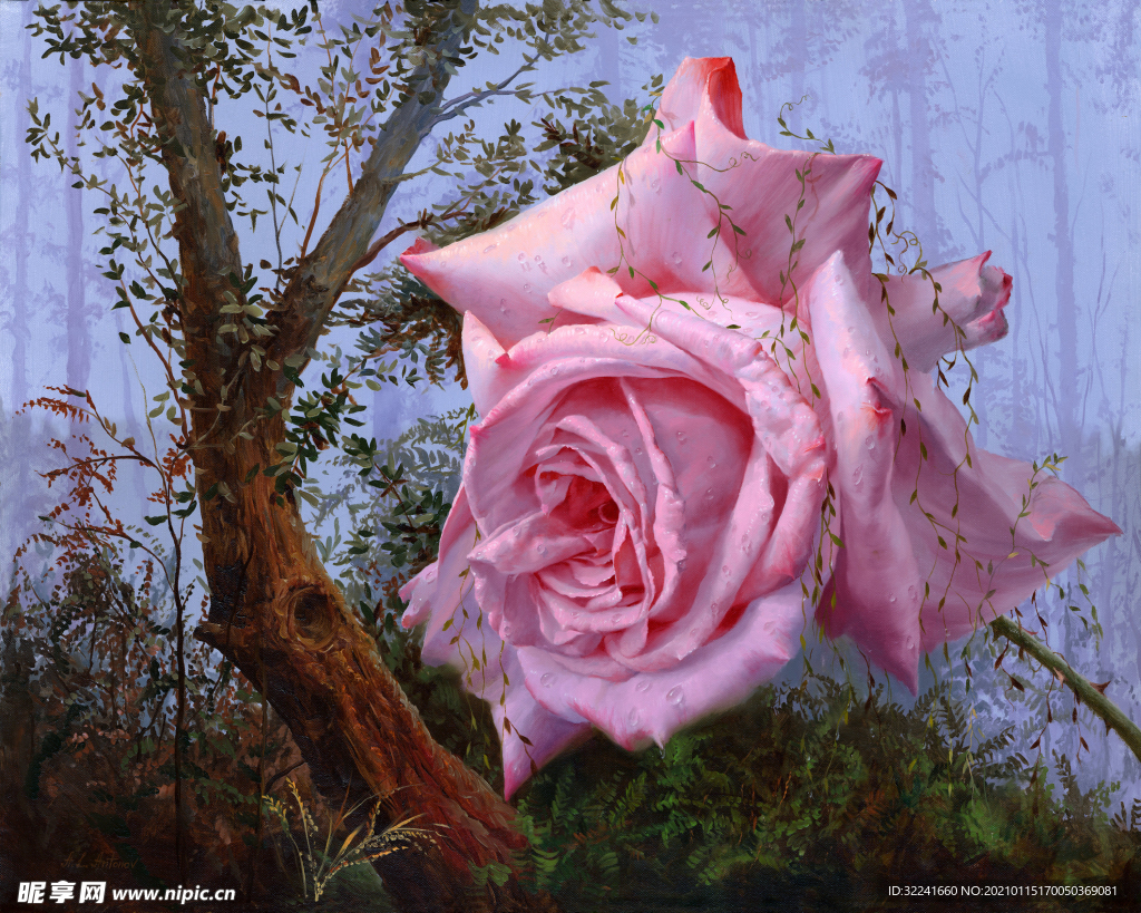 阿列克谢.安东诺夫