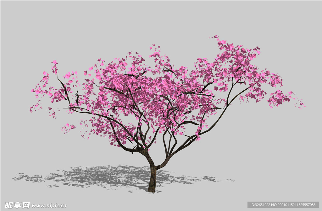 植物 3D树 桃树 SU模型