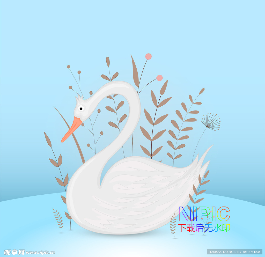 天鹅