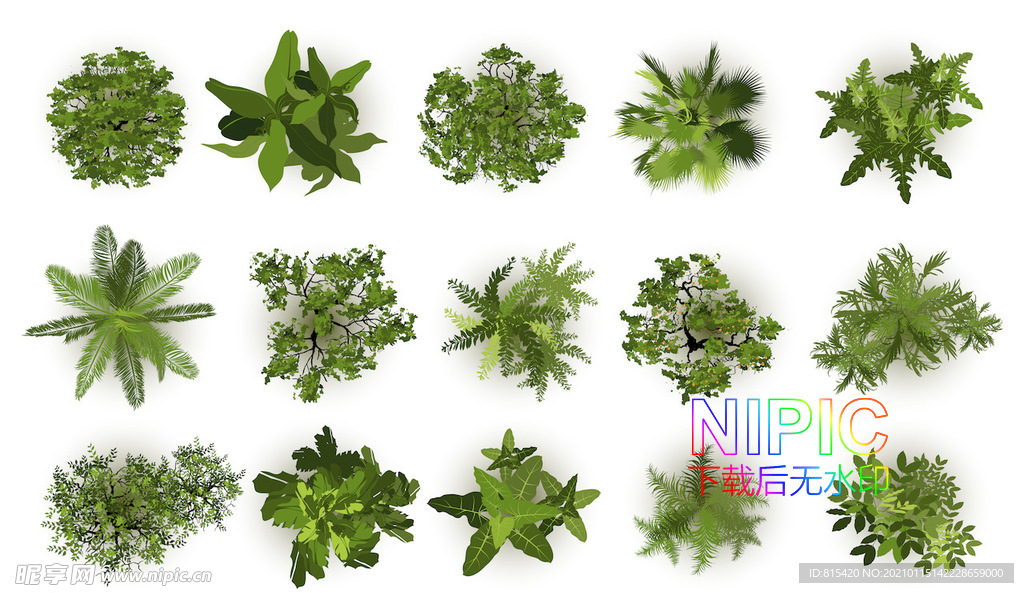 植物顶视图
