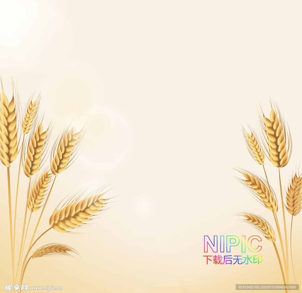 麦穗
