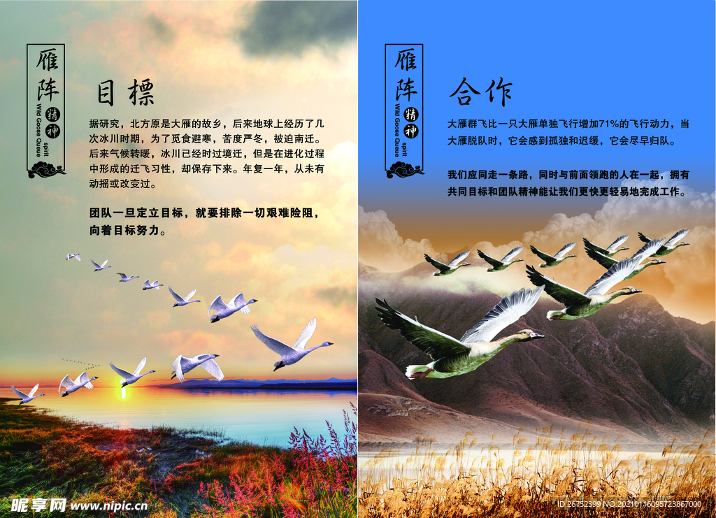 公司文化