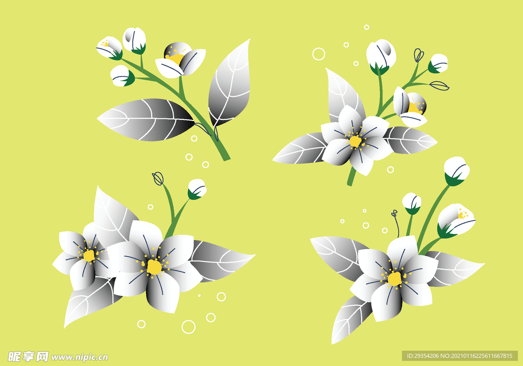 植物叶子剪影图片