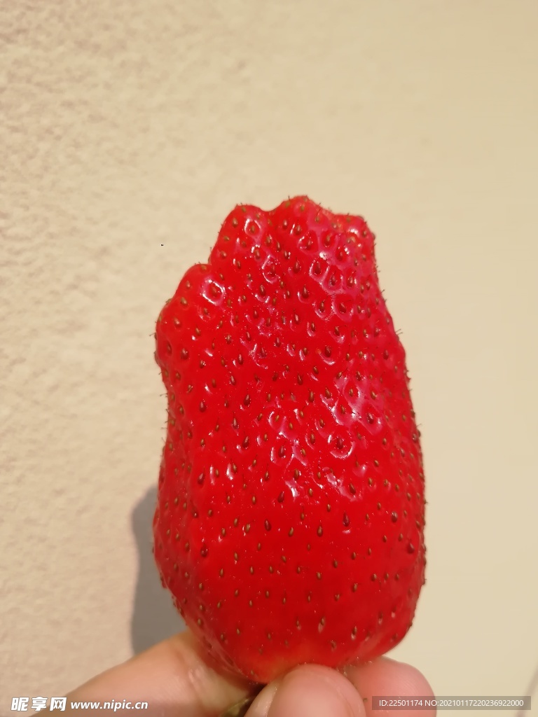 草莓