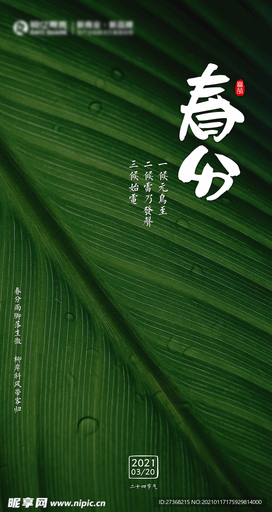 二十四节气海报 春分