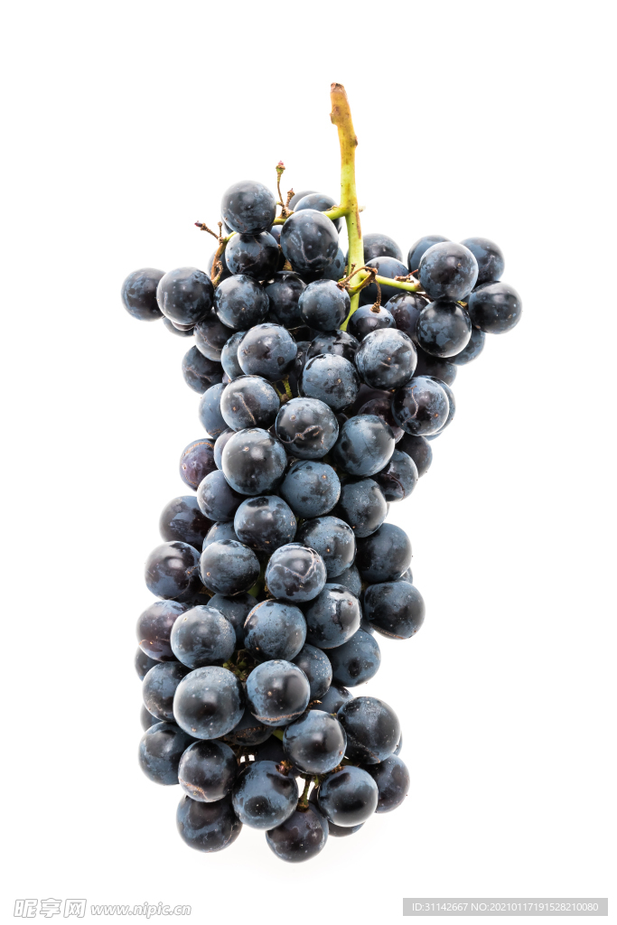 葡萄