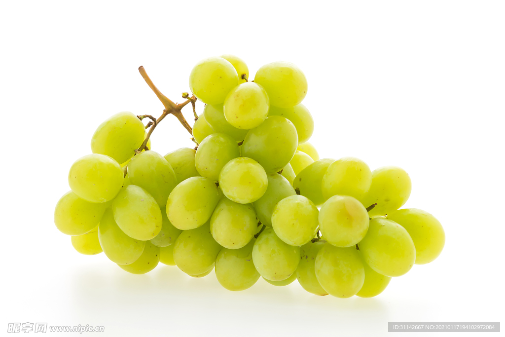 葡萄