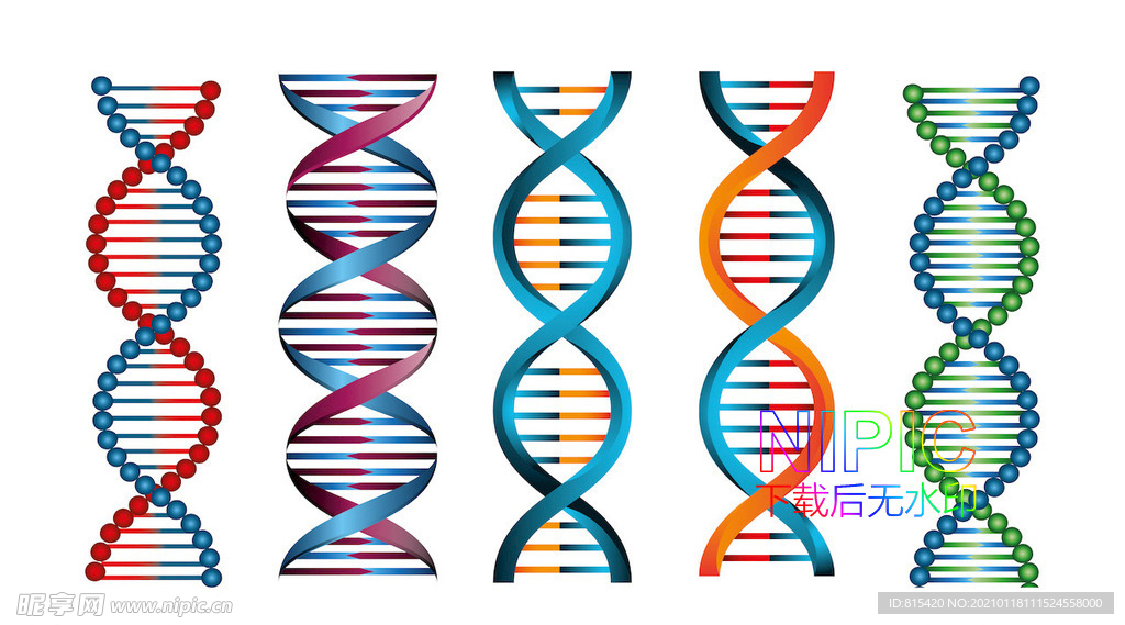 dna图形