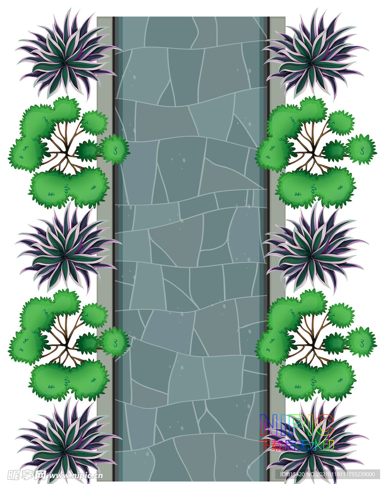 植物顶视图