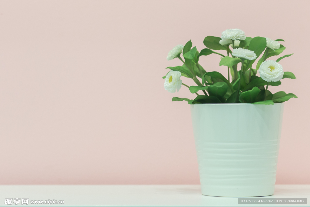 盆花