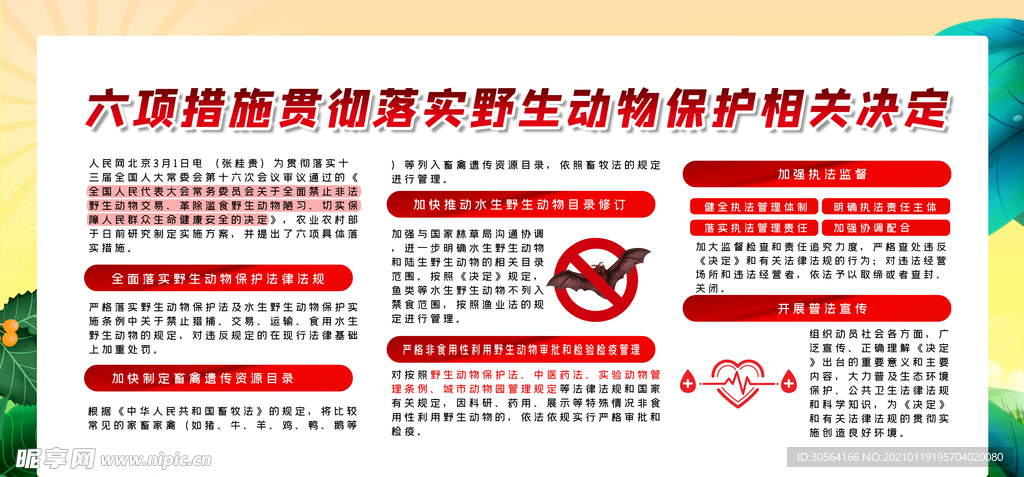 保护野生动物公益宣传海报素材
