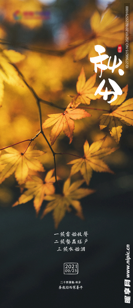 二十四节气海报 秋分图片