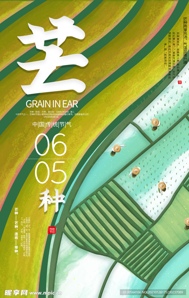 芒种节气传统活动宣传海报素材