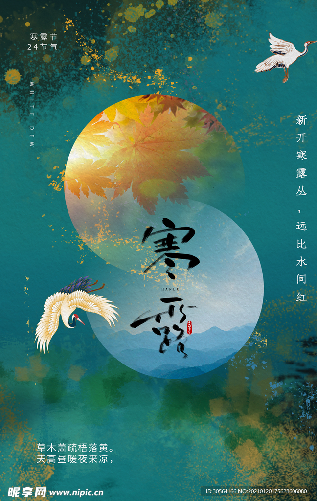 寒露节气传统活动宣传海报素材