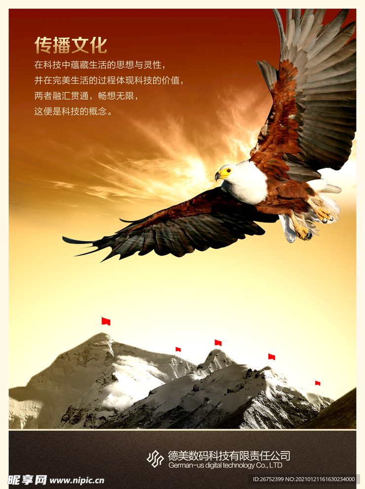 公司文化