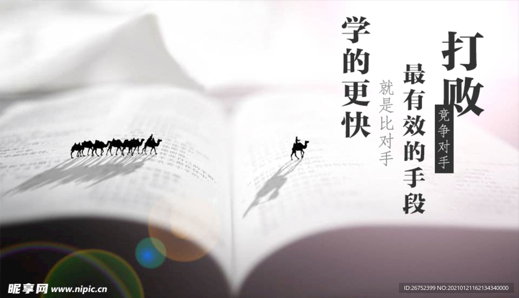 公司文化