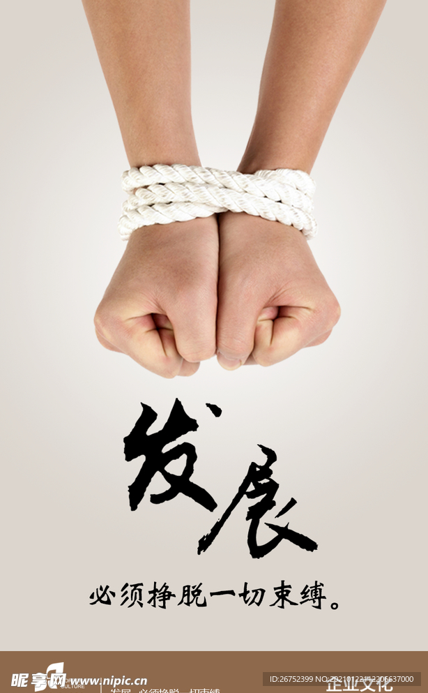 公司文化