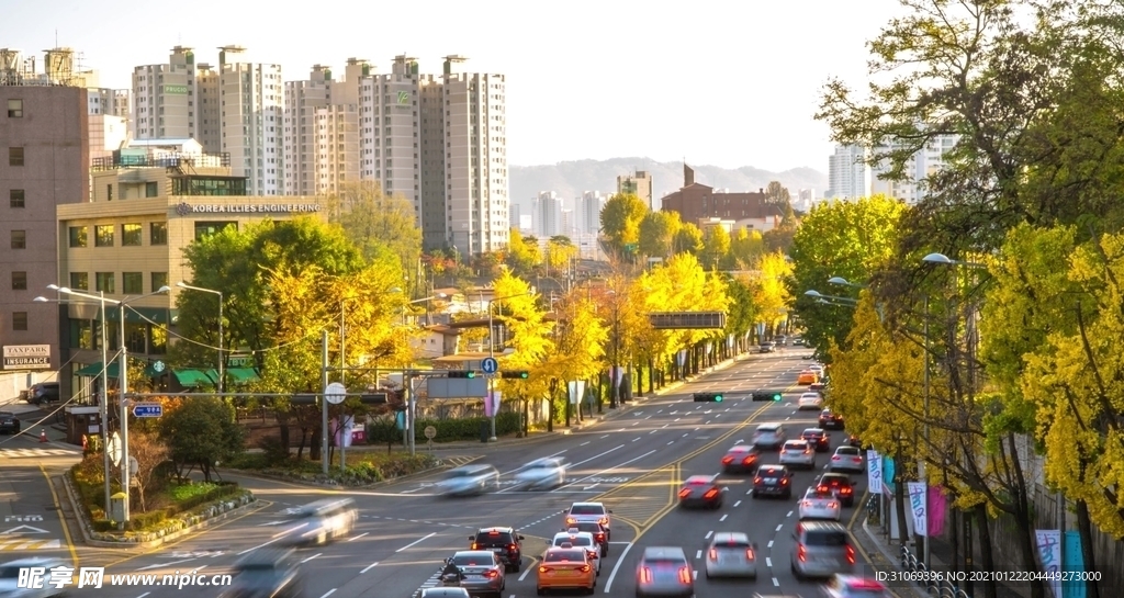 高清城市街道车流穿梭视频