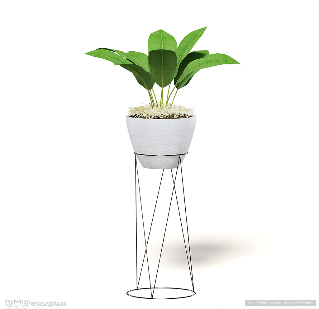 C4D模型 高架子上绿萝