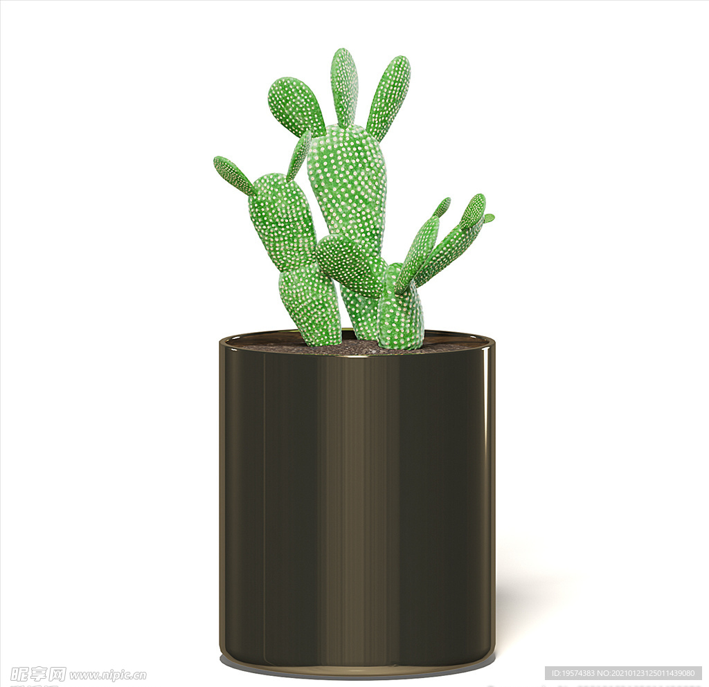 C4D模型 仙人掌
